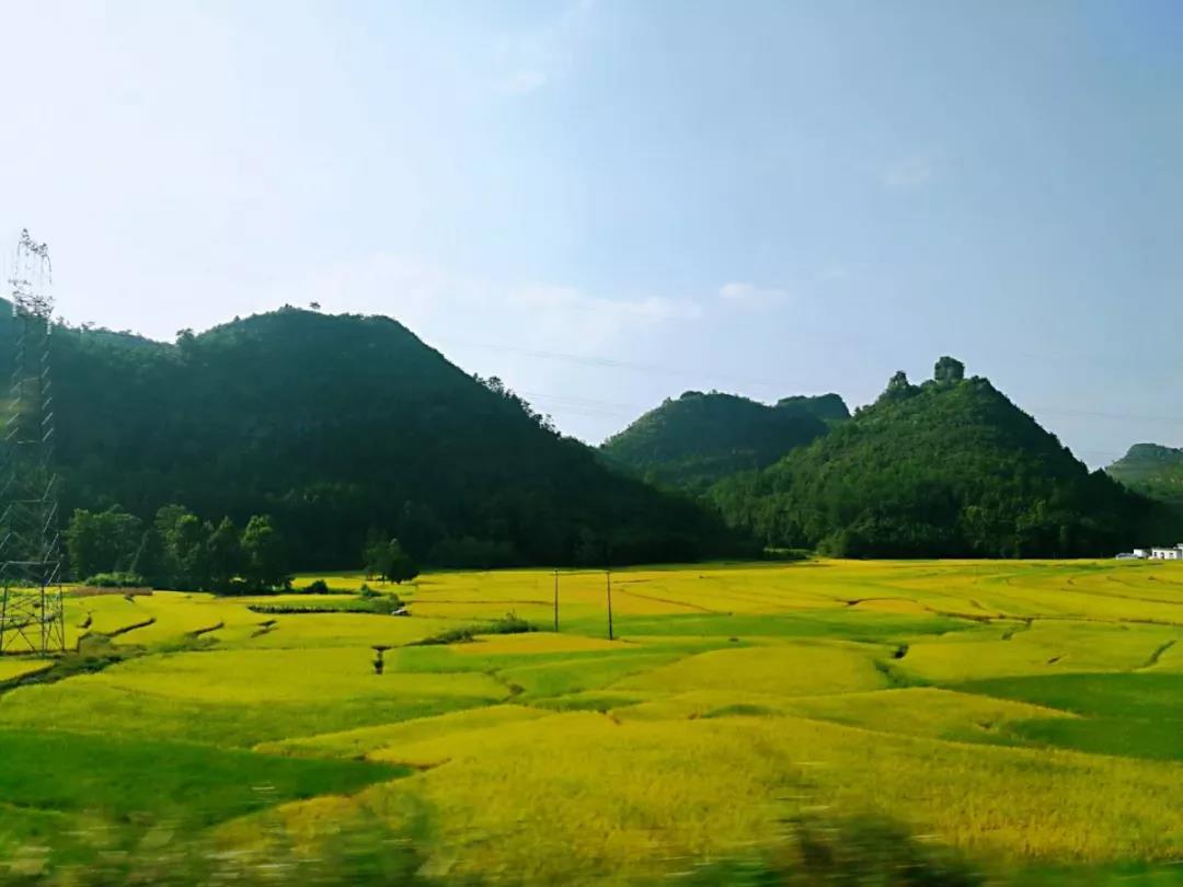 20180925873718.jpg 微信圖片_20180925101636.jpg